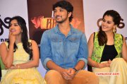 Apr 2015 Album Vai Raja Vai Film Pressmeet Tamil Movie Event 685