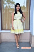 Function Priya Anand At Vai Raja Vai Pressmeet 283