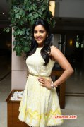 Priya Anand At Vai Raja Vai Pressmeet New Still 192