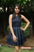 Jan 2015 Photo Valiyavan Pressmeet Tamil Event 4078