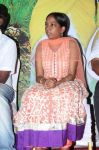 Vellachi Audio Launch Stills 1402