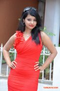 Actress In Red Dress At Vethu Paper Movie Launch 806