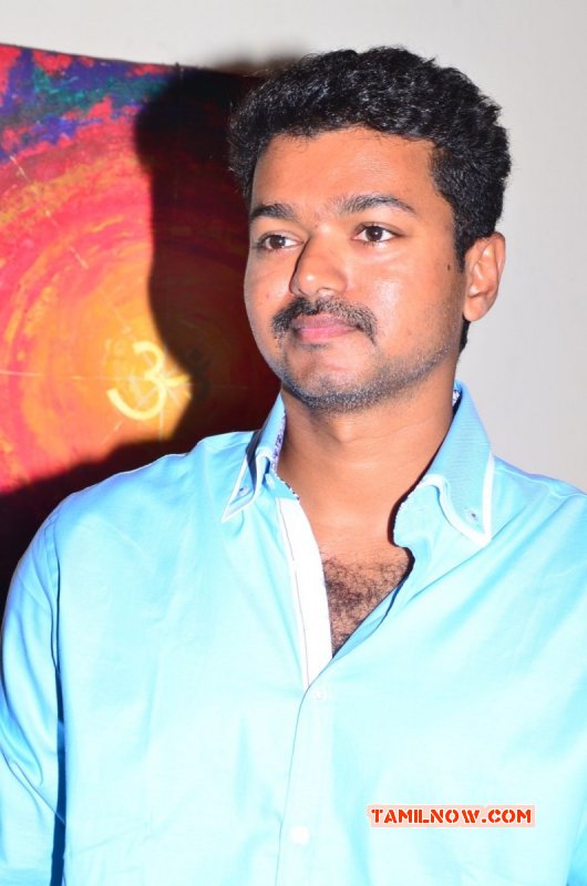 Vijay 59th Movie Pooja Tamil Event Galleries 707