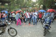 Vijay Dance In Rowdy Rathore 4006