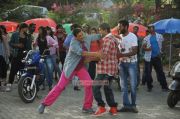 Vijay Dance In Rowdy Rathore 8878