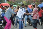 Vijay Dance In Rowdy Rathore 9359