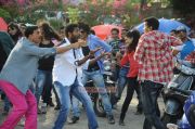 Vijay Dance In Rowdy Rathore Photos 1870