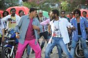 Vijay Dance In Rowdy Rathore Photos 553
