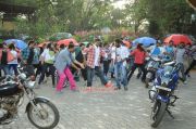 Vijay Dance In Rowdy Rathore Photos 763