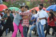 Vijay Dance In Rowdy Rathore Stills 3242