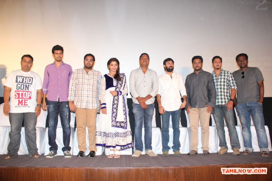Villa Audio Launch 4875