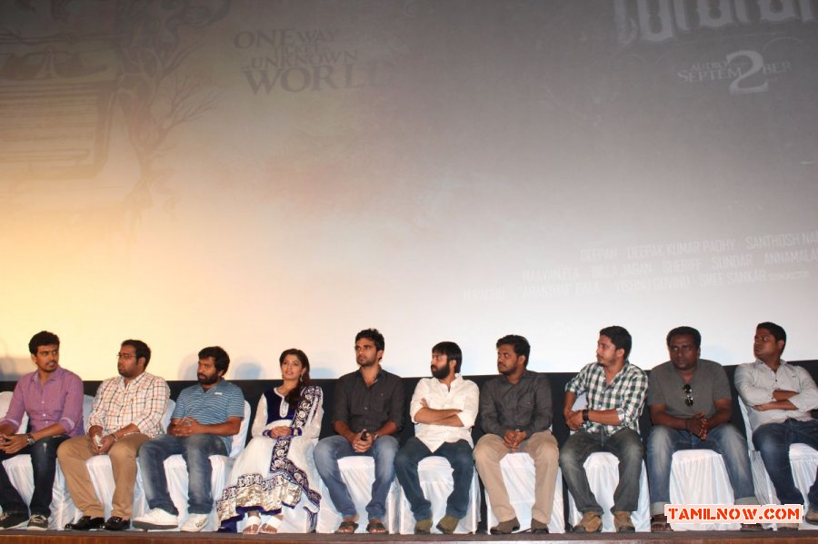 Villa Audio Launch Photos 1591