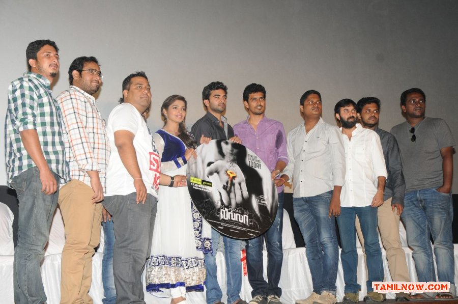 Villa Audio Launch Photos 2891