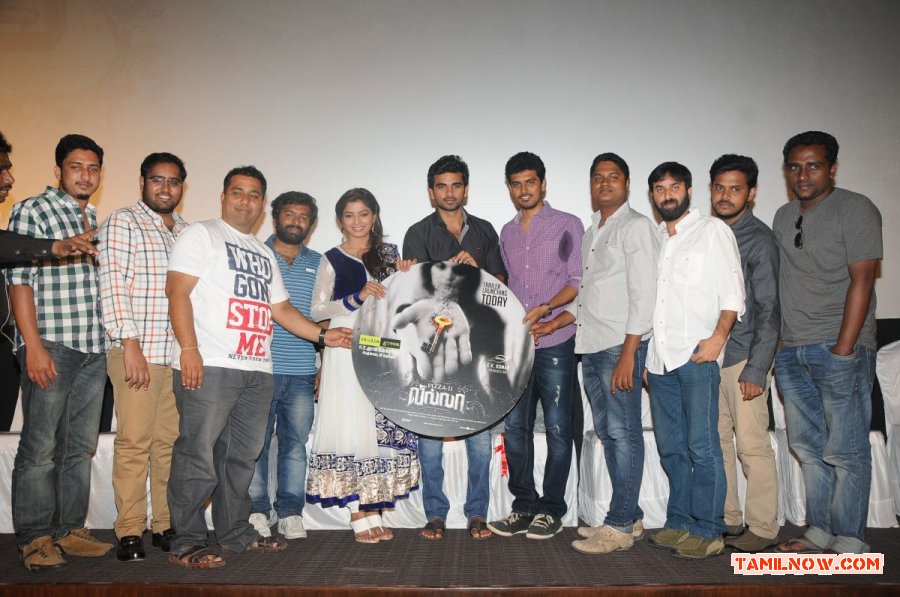 Villa Audio Launch Photos 7304