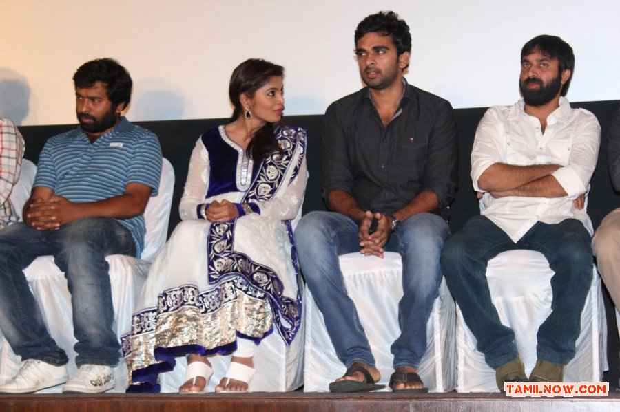 Villa Audio Launch Photos 7376