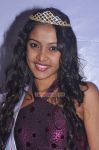 Vivel India Miss South 2011 Stills 2993