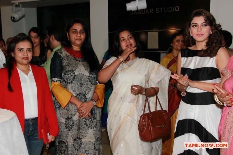 Vst Grandeur Women Achievers Awards Photos 5498