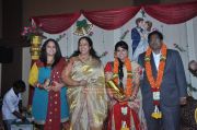 Y Vijaya Daughter Wedding Reception Photos 3467