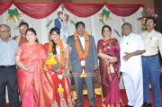 Y Vijaya Daughter Wedding Reception