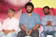 Ya Ya Audio Launch 5031