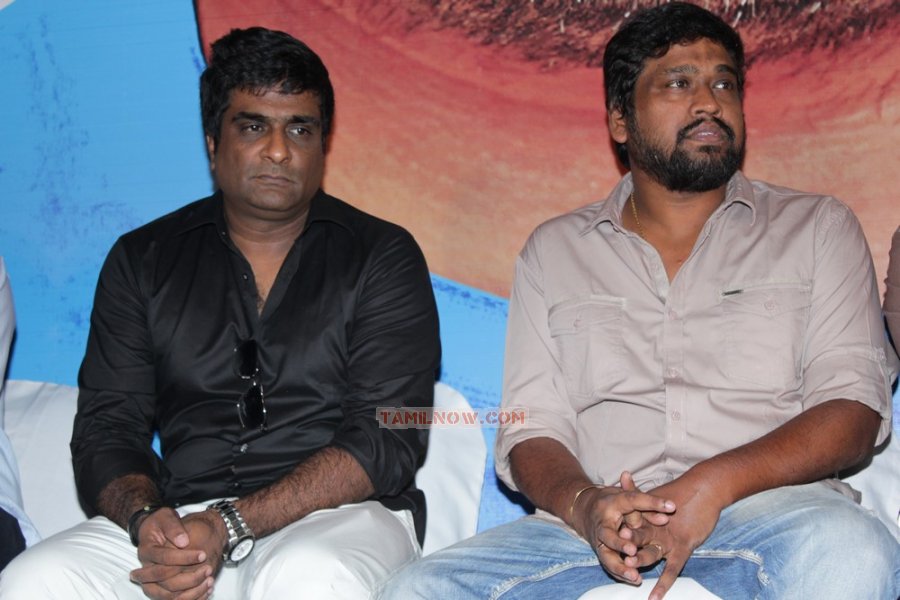 Ya Ya Audio Launch Stills 1467