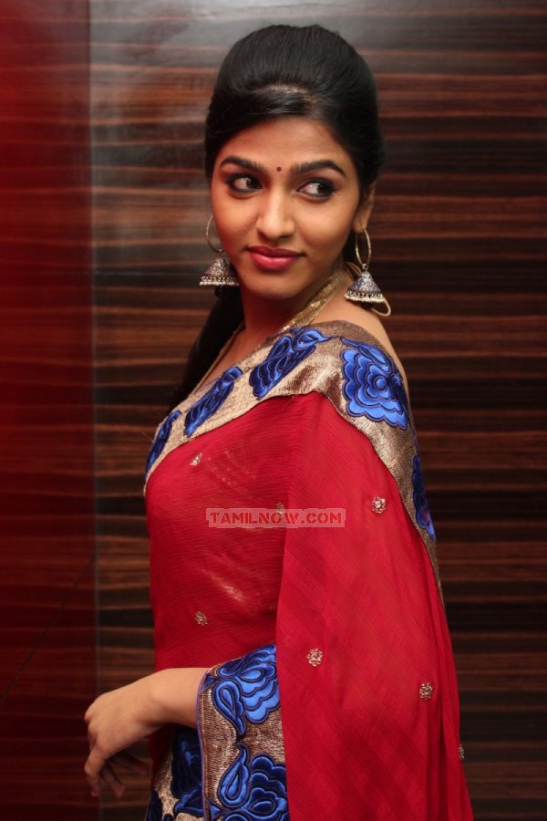 Ya Ya Audio Launch Stills 5781