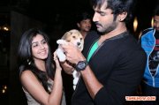 Aadhi And Nikki Galrani 801