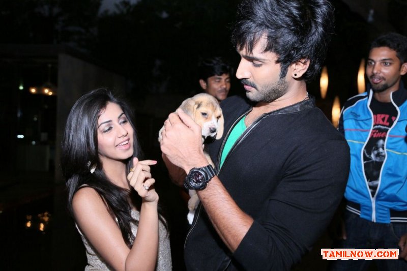 Nikki Galrani And Aadhi 315