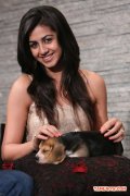 Nikki Galrani Pic 881