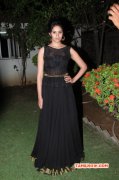 Function Photo Actress Deepa Sannidhi Yatchan Audio Launch 604