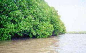 Pitchavaram