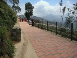 Coaker's Walk