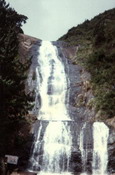 Silver Cascade